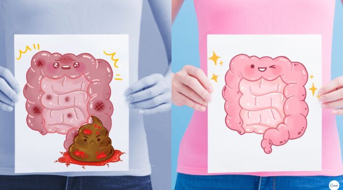 Очищение организма по Семёновой Надежде Алексеевне