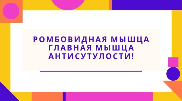 Ромбовидная мышца — главная мышца антисутулости