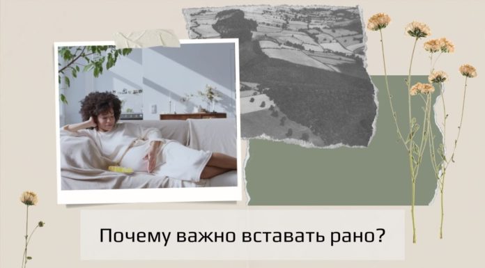 Почему важно вставать рано?