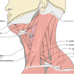 Всего 1 минута в день и ваше лицо начнет молодеть