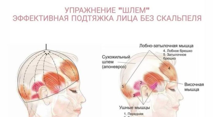 Упражнение Шлем — эффективная подтяжка лица без скальпеля!
