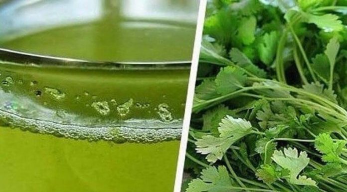 Кориандр от камней и болей в почках и от других болезней!