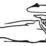 Утренняя гимнастика для фараонов