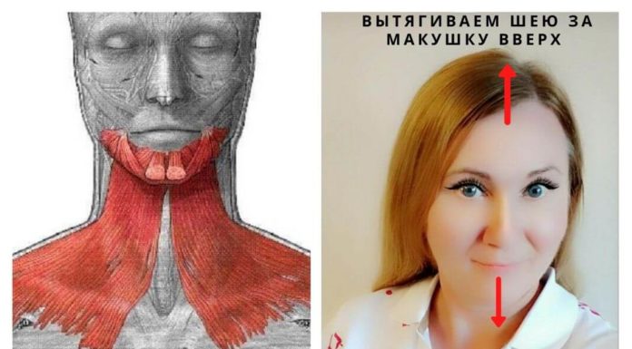 Шея стареет раньше лица, как продлить молодость шеи?