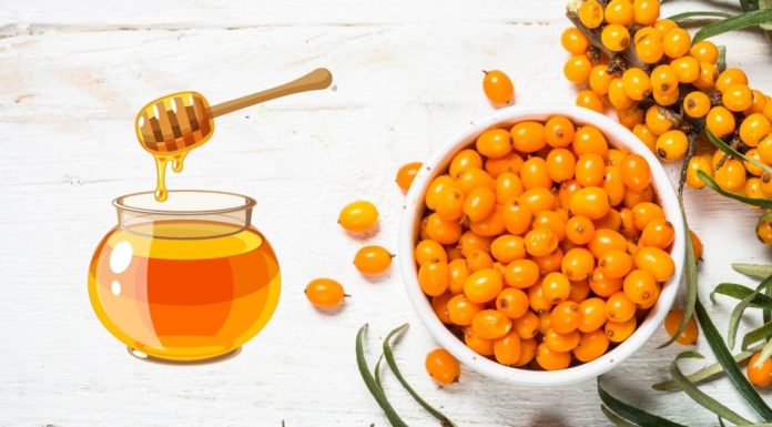 Как приготовить облепиховый мед от 100 болезней