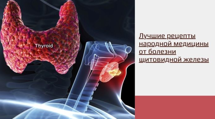 Лучшие рецепты народной медицины от болезней щитовидной железы