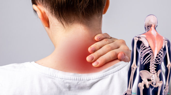 Массаж Трапециевидных Мышц за 1 Минуту